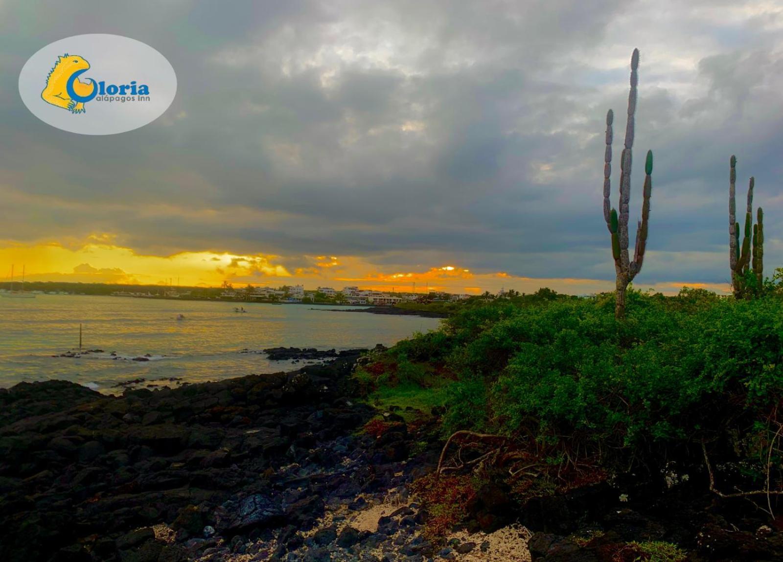 Gloria - Galapagos Inn بويرتو أيورا المظهر الخارجي الصورة